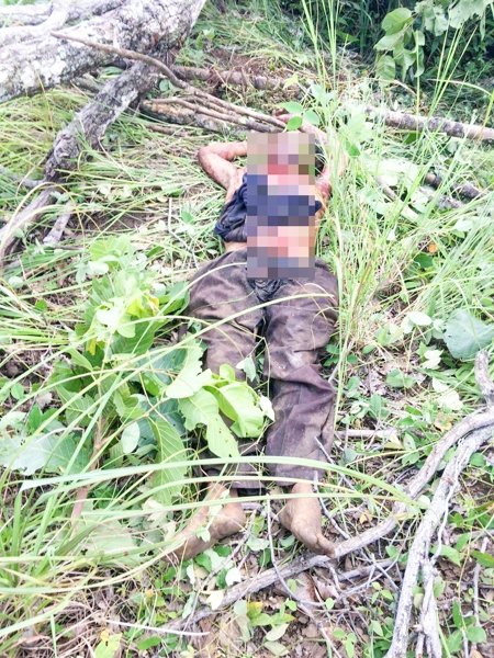 Elephant keeper Mim Sreng did not survive the attack.