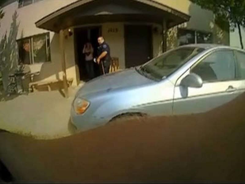 Click to enlarge police shoot dog