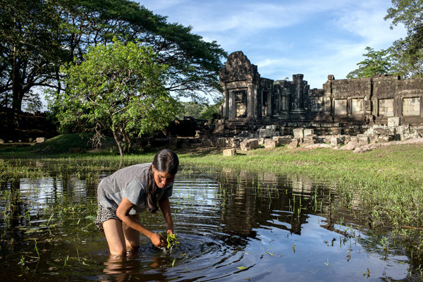 Cambodia temple