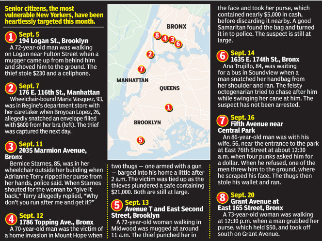 Map of senior attacks in NYC