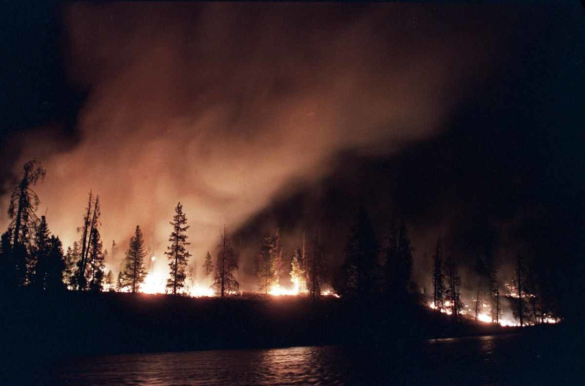 Yellowstone wildfire