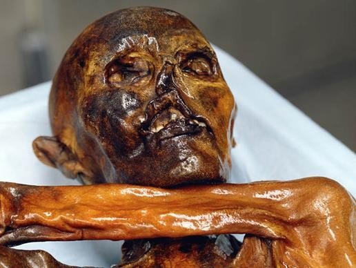 Iceman Mummy 20 Yrs On: Mysteries Remain