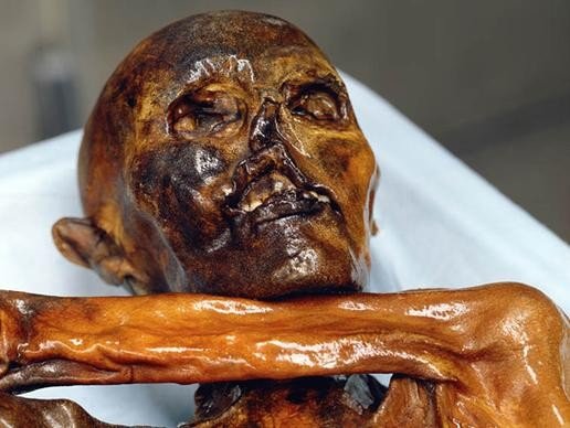 Click to enlarge Iceman Mummy 20 Yrs On: Mysteries Remain