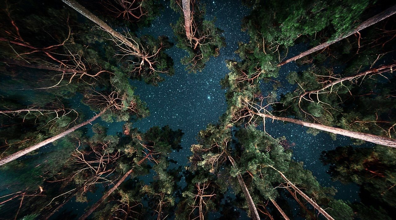 Click to enlarge Starry sky