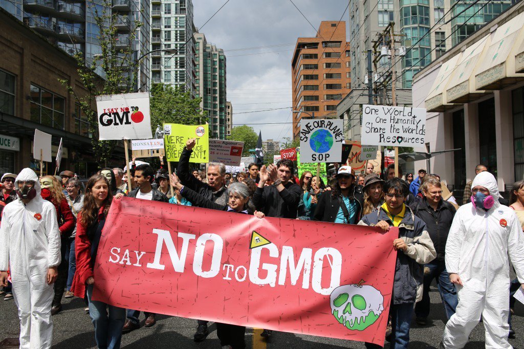 Click to enlarge no GMO
