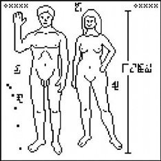 Click to enlarge cosmic call symbol