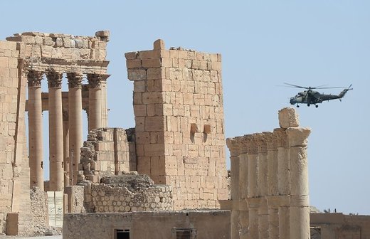 palmyra