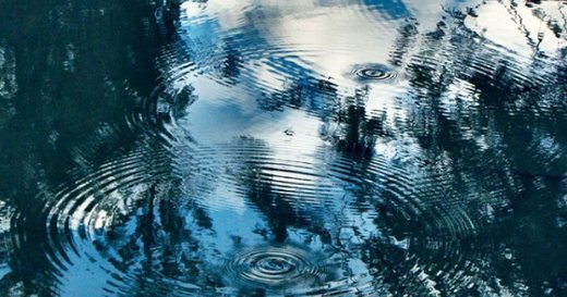 Morphic resonance