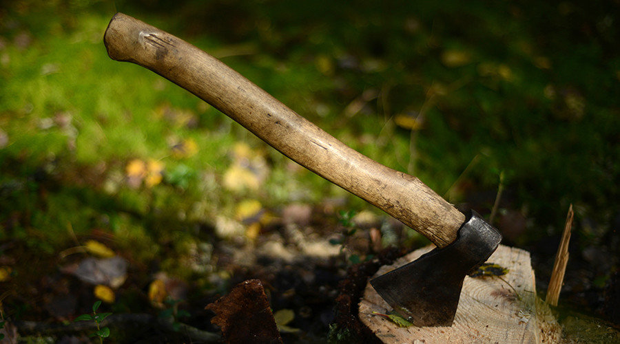 Click to enlarge Axe in stump