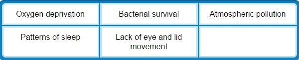 contact lens infection