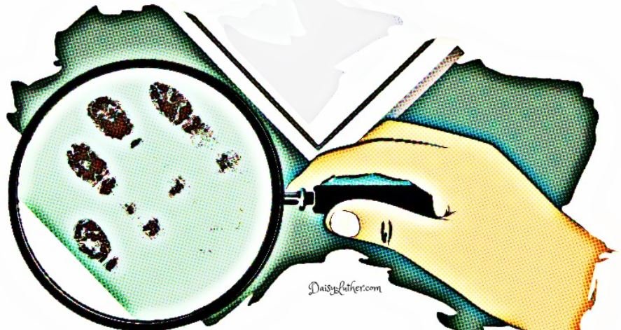 magnifying glass