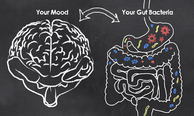 gut bacteria