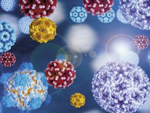 Click to enlarge microbes