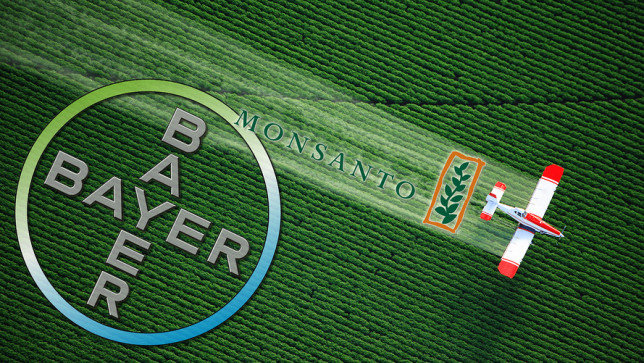 Click to enlarge bayer