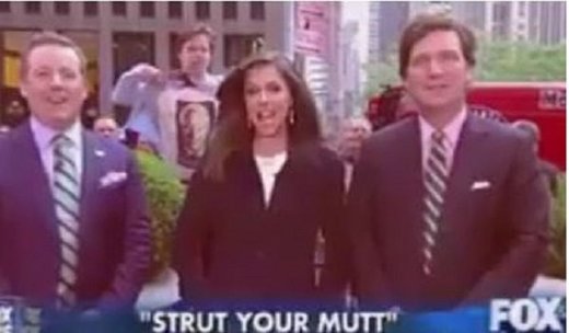 Click to enlarge Fox News