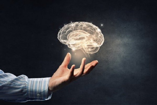 Light brain
