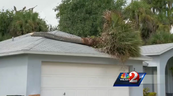 storm damage