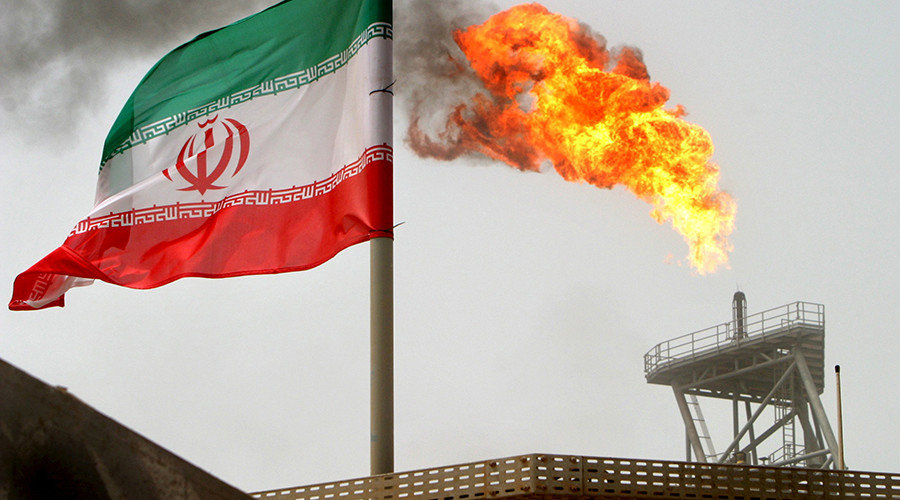 Iran flag near plant