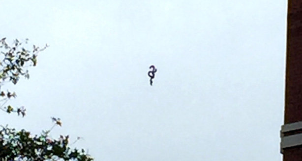 worm-like ufo washington DC