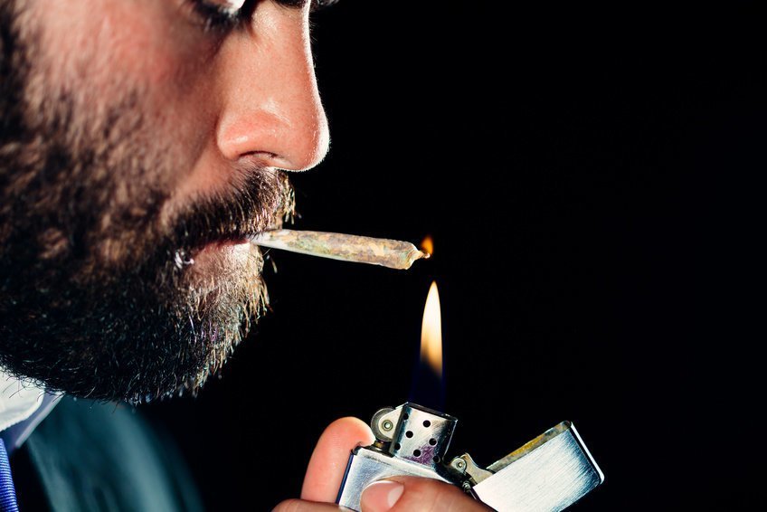 Click to enlarge cannabis marijuhana