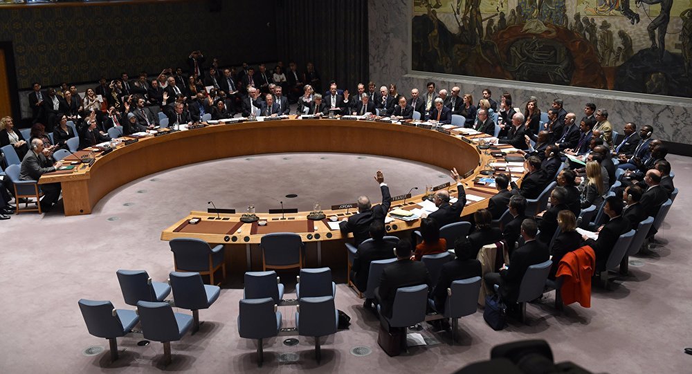 United Nations Security Council