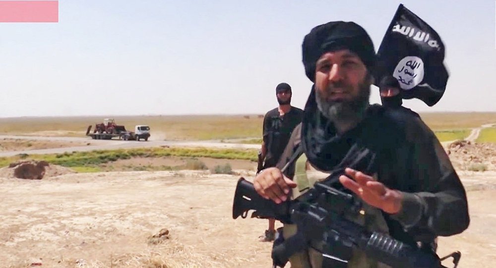 Islamic State militant
