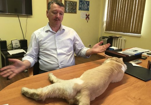 igor strelkov