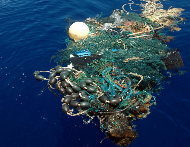 Click to enlarge garbage patch