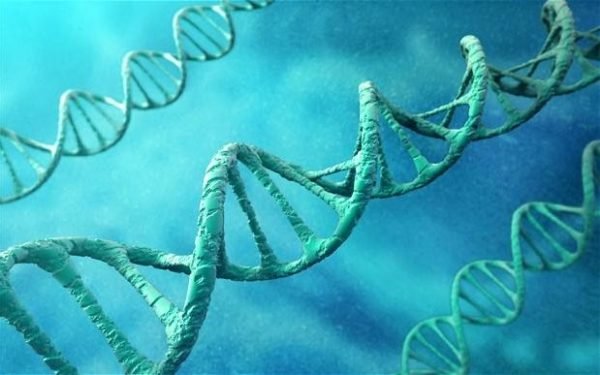 DNA strand