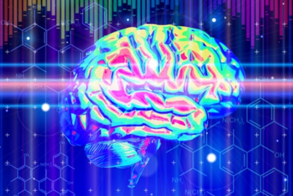 microwave brain
