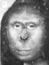 zana neanderthal