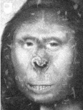 Click to enlarge zana neanderthal