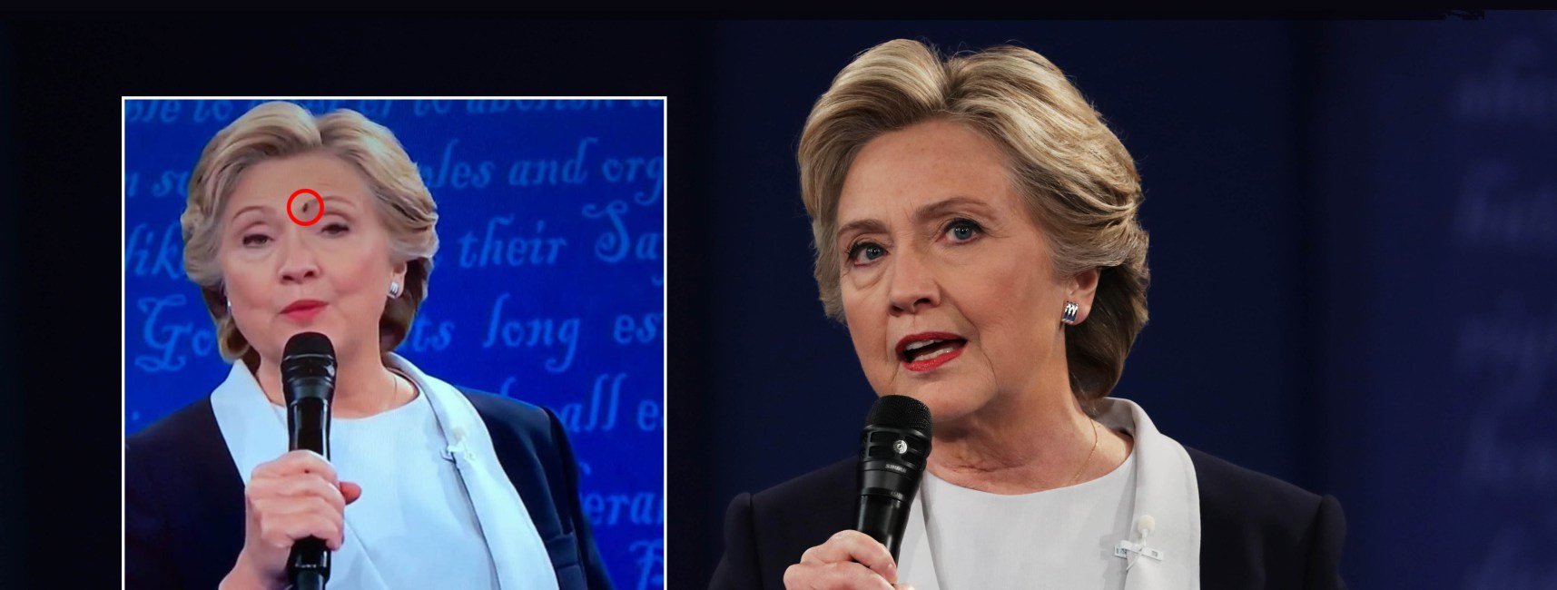 Fly face clinton