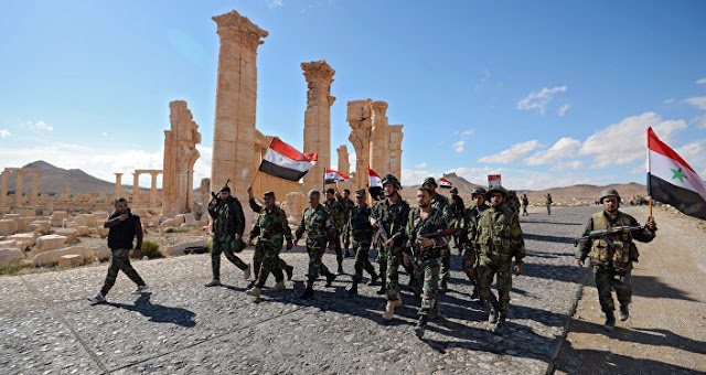 Click to enlarge palmyra