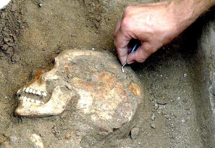 Skull and hand
