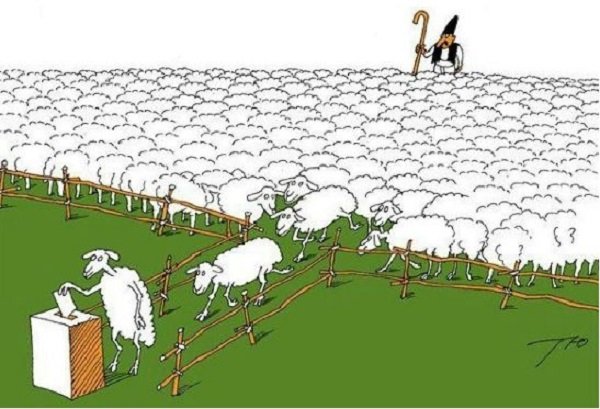 voting sheeple
