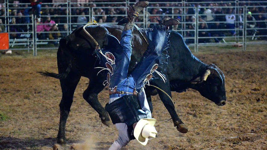 Cowboy being thrown off bull
