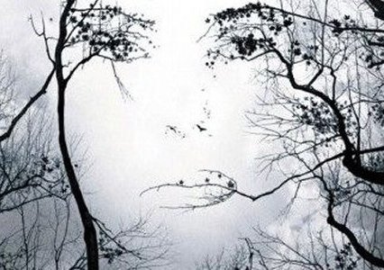 Click to enlarge Girl in tree picture