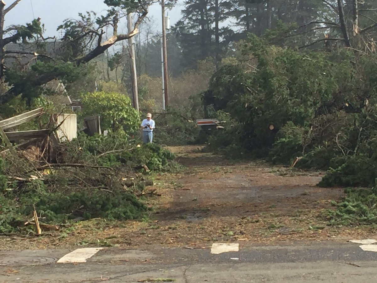 Click to enlarge Damage in Manzanita