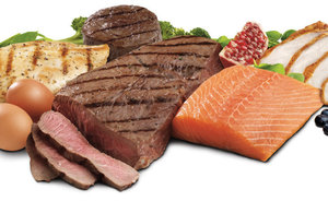 variety of protein sources meat