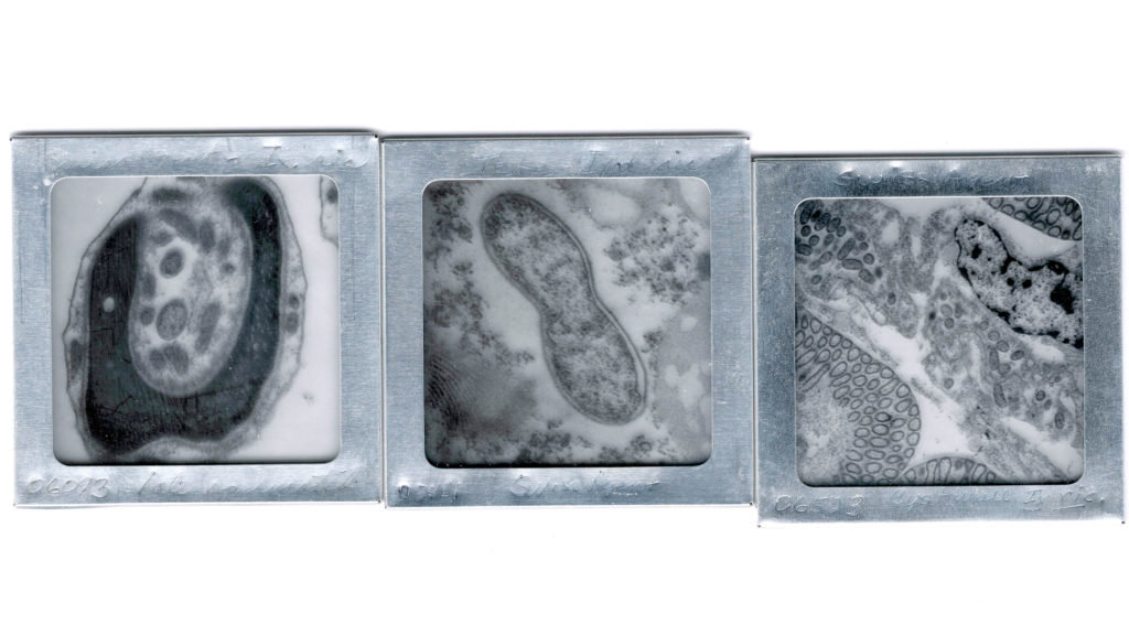 Click to enlarge Swiss Agent slides
