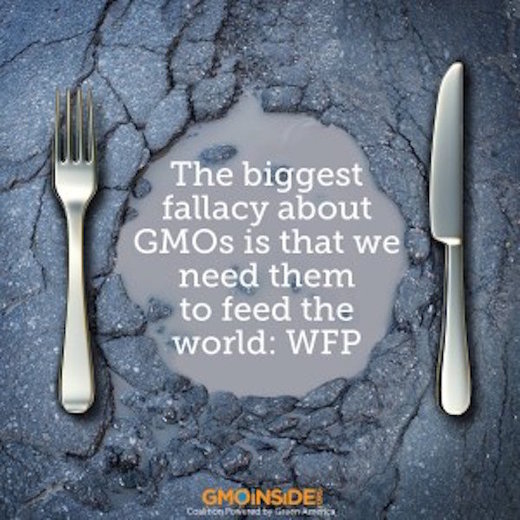 GMO fallacy