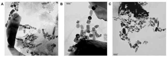 Click to enlarge Iron-60 found encased in biologically produced nanocrystals of magnetite