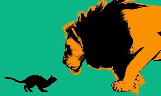 Click to enlarge cat vs. lion