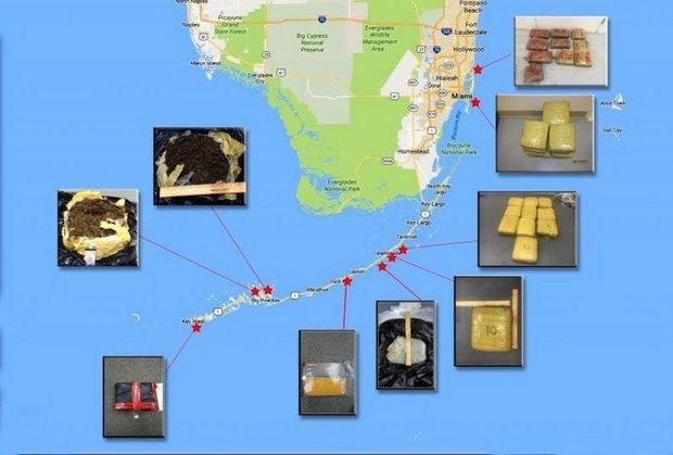 marijuana seizures florida