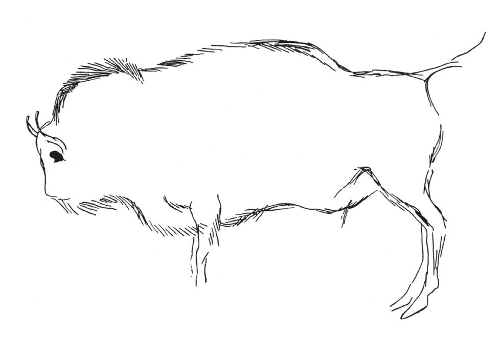 Click to enlarge Bison Cave Art