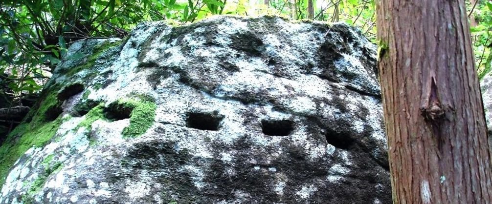 rock with holes