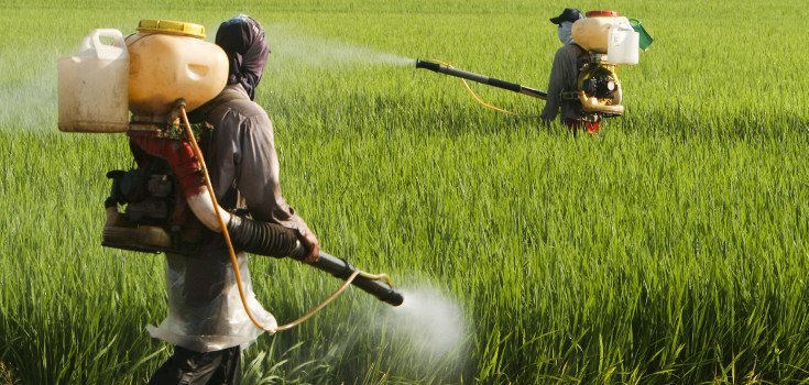 pesticide spraying