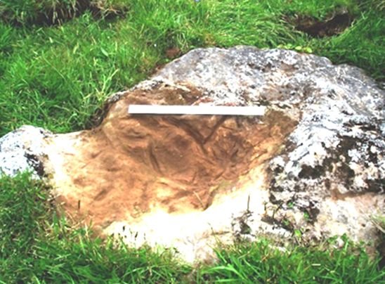 Ancient rock art