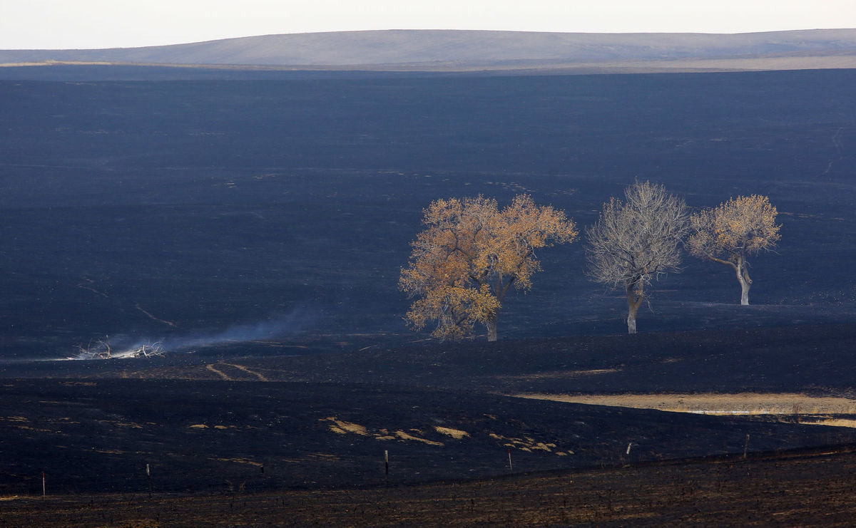 Click to enlarge Burnt land